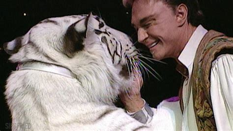 'Siegfried and Roy' tiger grabs Roy Horn by the neck as staff try to .